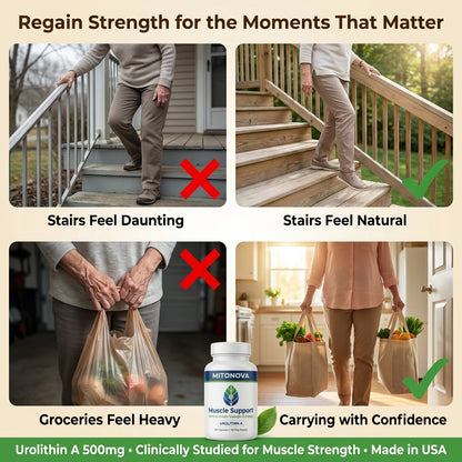 Mitonova Urolithin A -Muscle Support Supplement for Strength & Energy