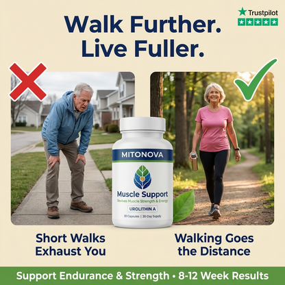 Mitonova Urolithin A -Muscle Support Supplement for Strength & Energy