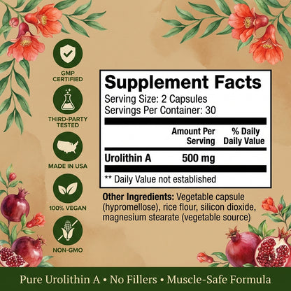 Mitonova Urolithin A -Muscle Support Supplement for Strength & Energy