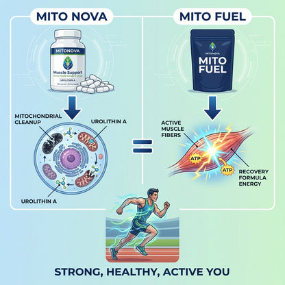 Mito Fuel Recovery Formula - Vanilla - 30 Servings
